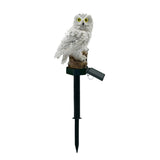 Solar Owl Solar Led Light