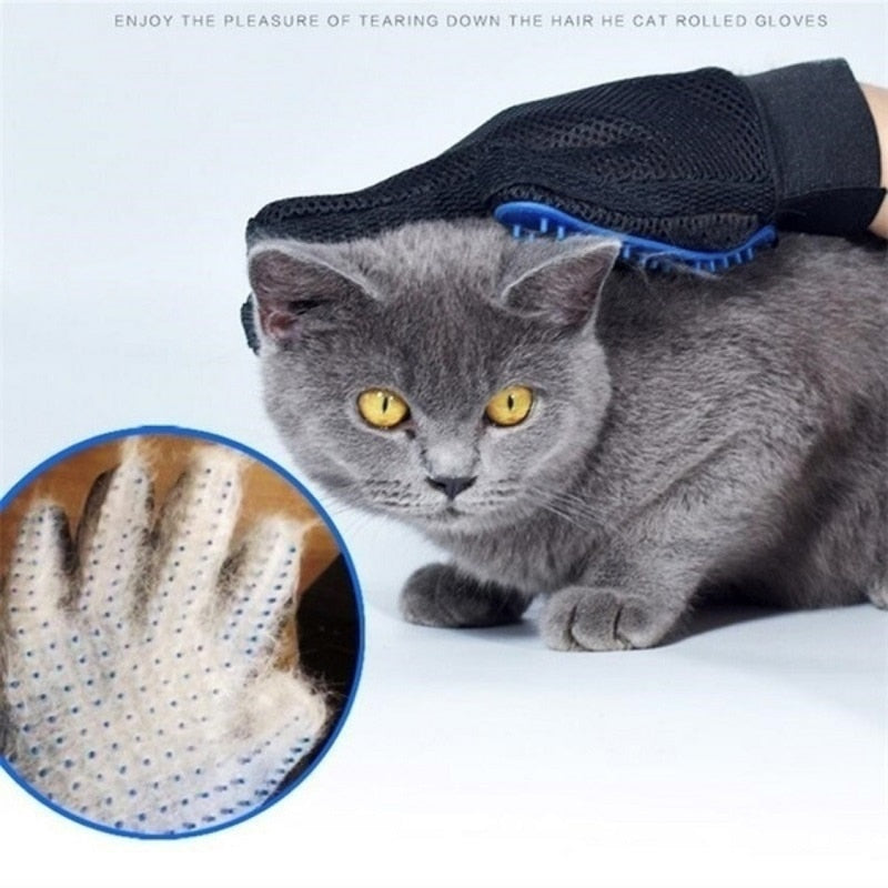 Gloves Pet brush