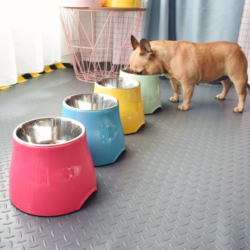 Large capacity dog feeder