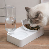 Plastic Cat Gravity Water and Food