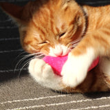 Teeth Grinding Catnip Toys Funny