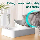 Plastic Cat Gravity Water and Food