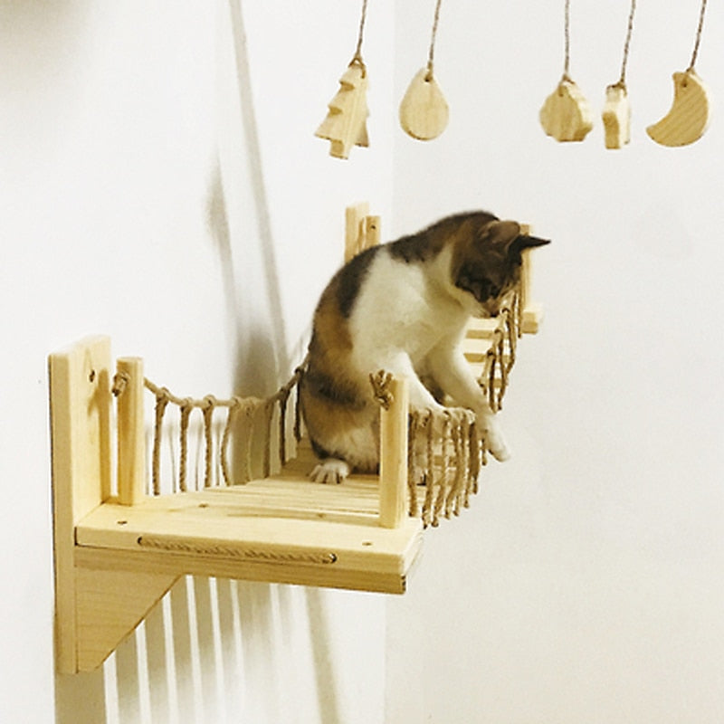 Cat Bridge Climbing