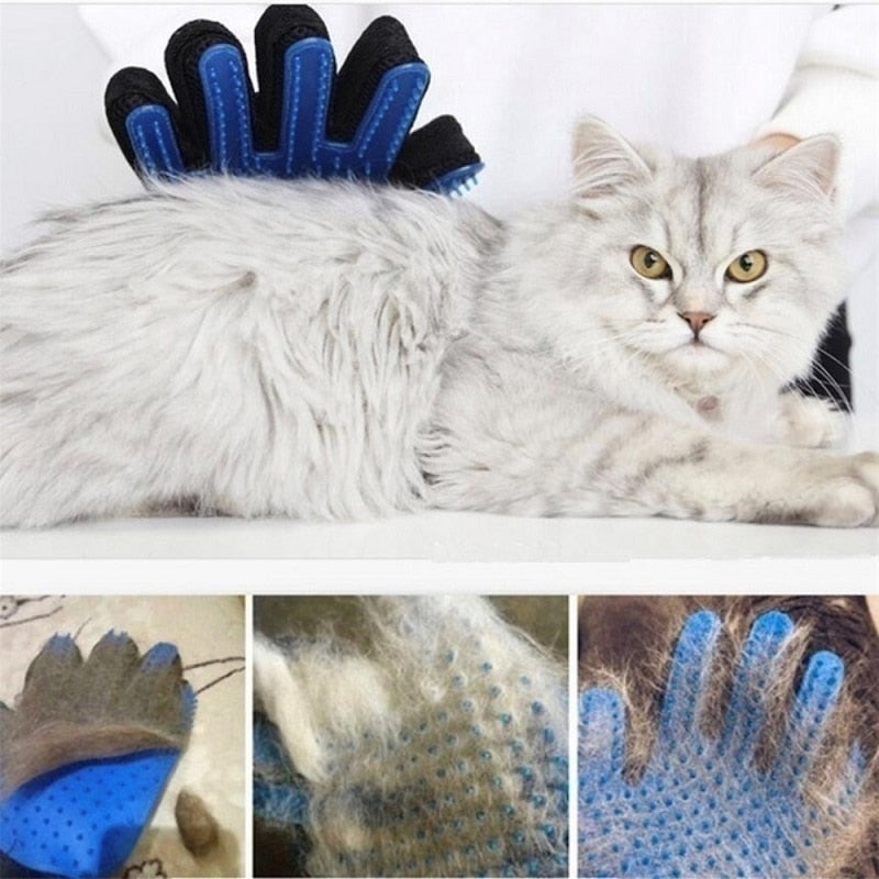 Gloves Pet brush
