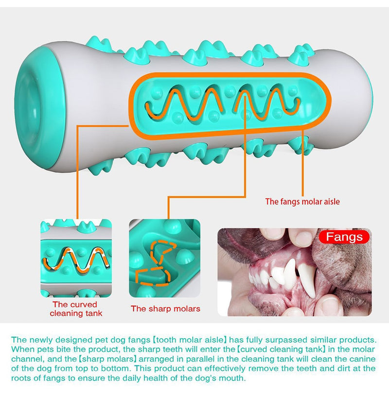 Pet Dog Chew Toy Molar Toothbrush