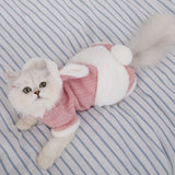 Pet Cat Clothing Winter