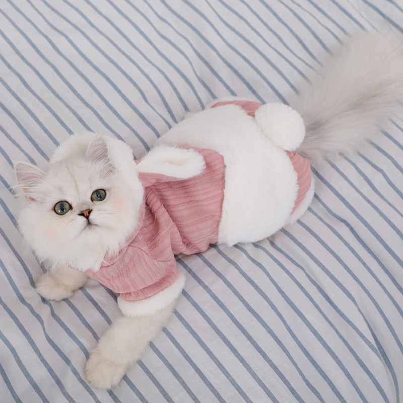 Pet Cat Clothing Winter