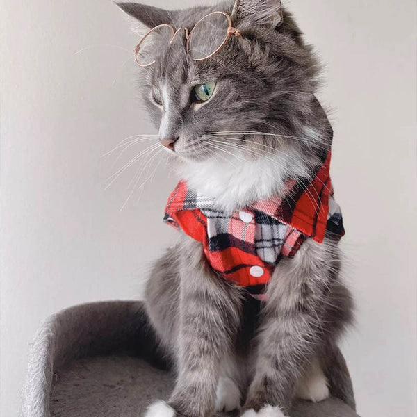 Plaid Cat Clothes