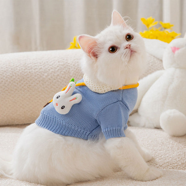 Cat Sweater Cute