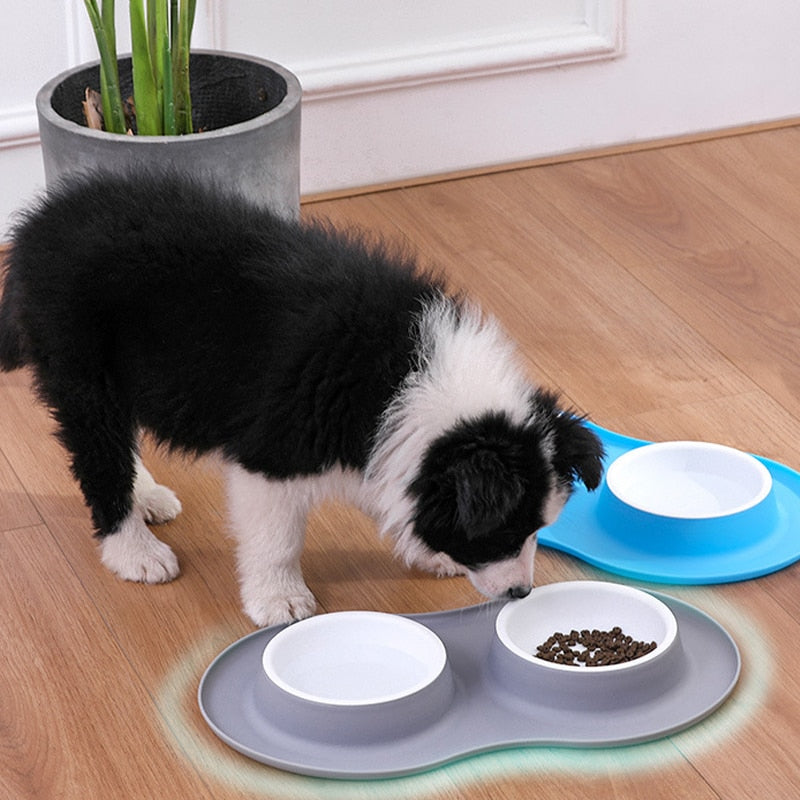 Dog Food Bowls