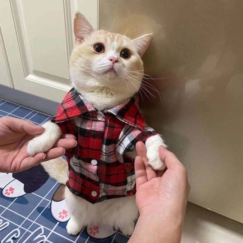 Plaid Cat Clothes