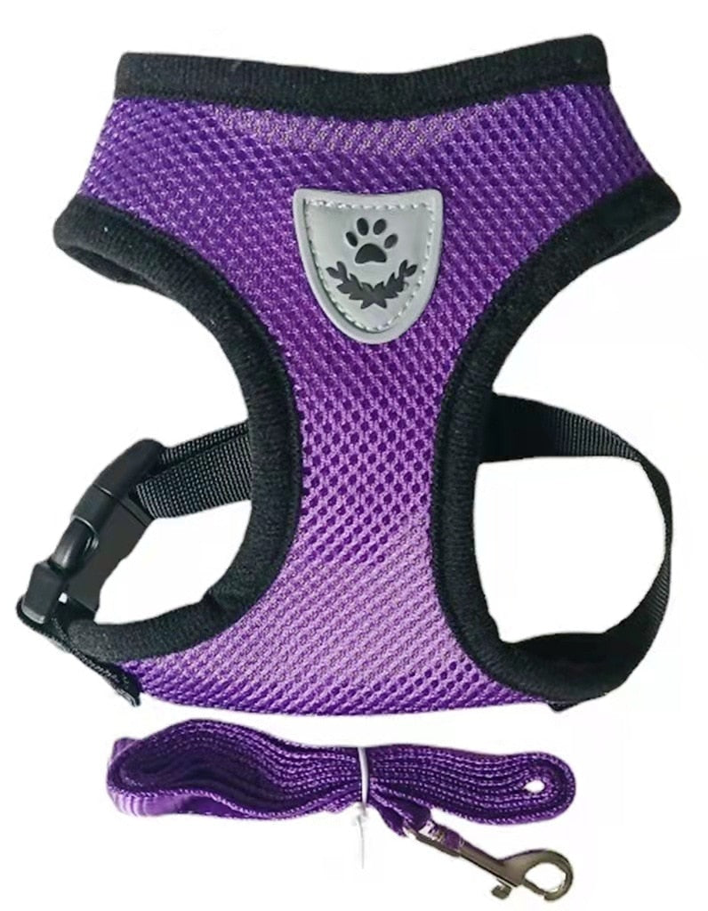 Cat Dog Harness with Lead