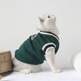 Cat Sweater Winter