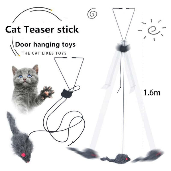 Cat Toy Retractable Hanging Door