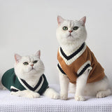 Cat Sweater Winter