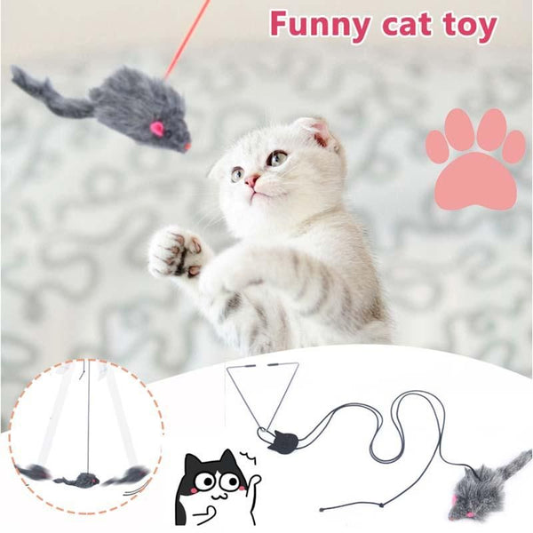 Cat Toy Retractable Hanging Door