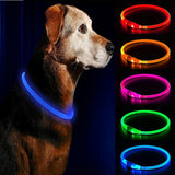 Led Usb Dog Collar