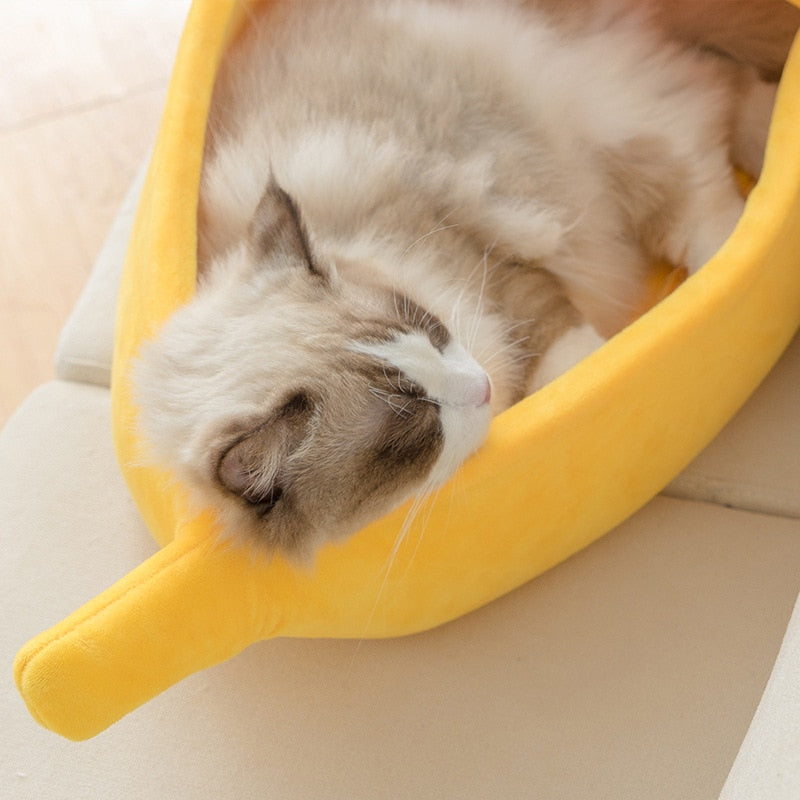 Funny Banana Cat Bed