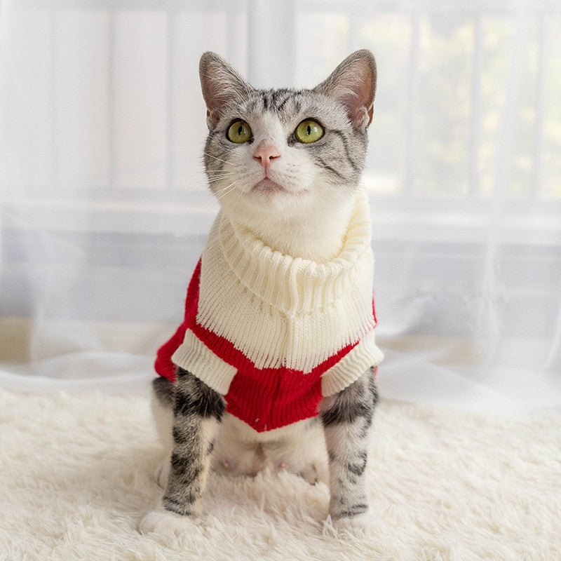 Puppy Cat Sweater Winter Warm