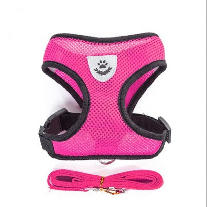 Cat Dog Harness with Lead